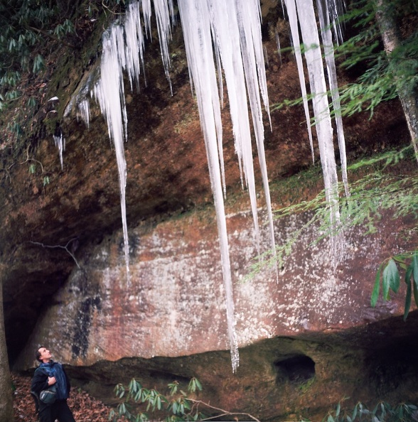 Ice on the Sheltowee Trace 1.jpg